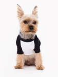 Small Dog 3/4 Raglan Tee